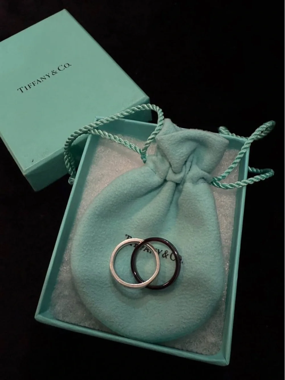 Tiffany & Co. Two-Tone Silver Titanium 1837 Double Interlock Ring